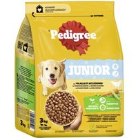 Pedigree Junior mit Geflügel und Gemüse 3kg von Pedigree