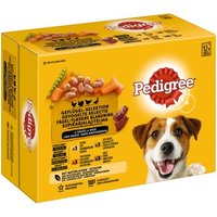 Pedigree Multipack Portionsbeutel Geflügel-Selektion in Sauce 12x100g von Pedigree