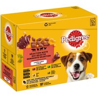 Pedigree Multipack Portionsbeutel Gemischte Selektion in Gelee 12x100g von Pedigree