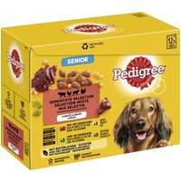 Pedigree Senior Gelée Multipack 12x100g von Pedigree