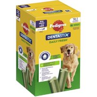 Pedigree Zahnpflege Dentastix Daily Fresh Multipack Maxi, 21x von Pedigree