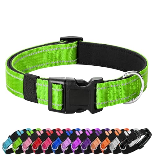 PenSeepet Reflektierendes Hundehalsband, gepolstert mit weichem Neopren, atmungsaktiv, Schnellverschluss, Basic Hundehalsbänder für Welpen, kleine Hunde, Mädchen, Grün von penseepet