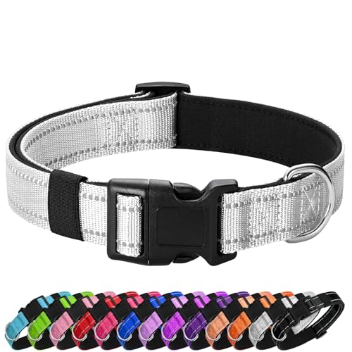 PenSeepet Reflektierendes Hundehalsband, gepolstert mit weichem Neopren, atmungsaktiv, Schnellverschluss, Basic Hundehalsbänder für Welpen, kleine Hunde, Mädchen, Jungen, Silber von penseepet