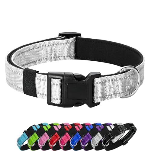 PenSeepet Reflektierendes Hundehalsband, gepolstert mit weichem Neopren, atmungsaktiv, Schnellverschluss, Basic Hundehalsbänder für Welpen, kleine Hunde, Mädchen, Jungen, Silber von penseepet