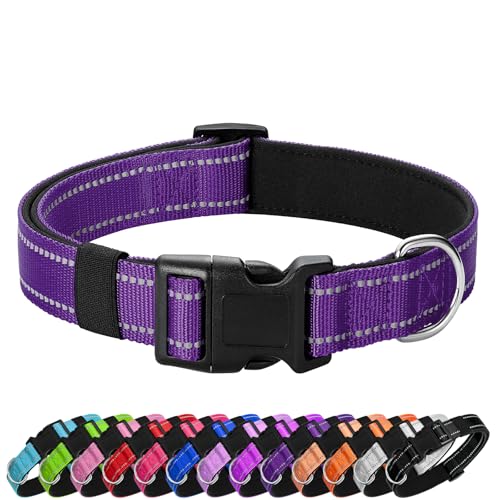 PenSeepet Reflektierendes Hundehalsband, gepolstert mit weichem Neopren, atmungsaktiv, Schnellverschluss, Basic Hundehalsbänder für Welpen, kleine Hunde, Mädchen, Lila von penseepet