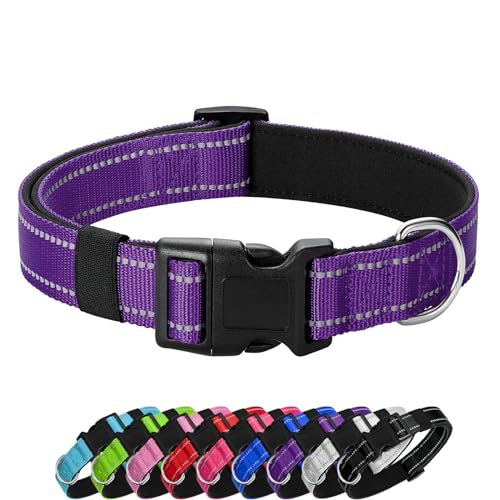 PenSeepet Reflektierendes Hundehalsband, gepolstert mit weichem Neopren, atmungsaktiv, Schnellverschluss, Basic Hundehalsbänder für Welpen, kleine Hunde, Mädchen, Lila von PenSeepet