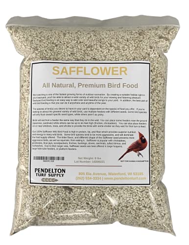 Pendelton Turf Supply Saflor-Wildvogelsamen, natürliches Premium-Vogelfutter (3,6 kg wiederverschließbarer Beutel) von Pendelton Turf Supply