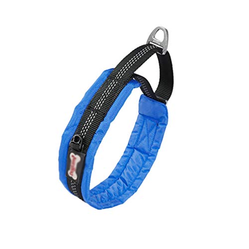 PengGengA Hundehalsband Verstellbare Weiches Nylon Hunde Halsband Atmungsaktives Reflektierend Halsband Geeignet für Katzen und Hunde (Blau, M: Länge 40-50 cm) von PengGengA