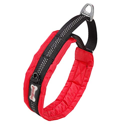 PengGengA Hundehalsband Verstellbare Weiches Nylon Hunde Halsband Atmungsaktives Reflektierend Halsband Geeignet für Katzen und Hunde (rot, M: Länge 40-50 cm) von PengGengA