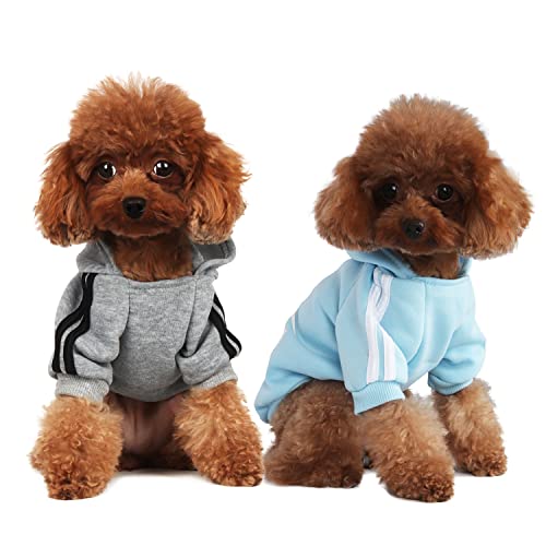 Mode Hund Hoodie Hundekleidung Streetwear reine Baumwolle Sweatshirt Hund Katze Welpe klein mittelgroß Mode Outfit (Grau/Hellblau, S) von PenghaiYunfei