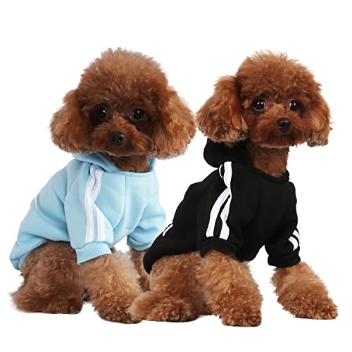 Mode Hund Hoodie Hundekleidung Streetwear Reine Baumwolle Sweatshirt Hund Katze Welpe klein mittelgroß Mode Outfit (Schwarz/Hellblau, M) von PenghaiYunfei