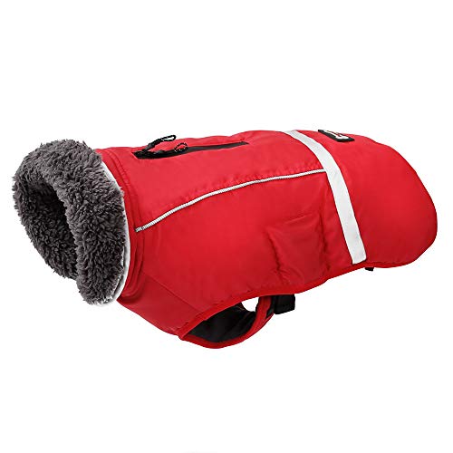 PENIVO Kaltes Wetter reflektierende Mäntel einstellbar Hund Kleidung Winter wasserdicht im Freien Hund Jacke verdicken warme Hundemantel für kleine mittelgroße Hundepullover (M, Rot) von Penivo