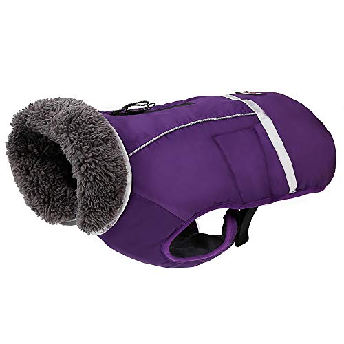 Penivo Kältezeit Reflektierende Mäntel, verstellbar, für den Winter, wasserdicht, im Freien, Hundejacke, verdickt, warm, für kleine mittelgroße und große Pullover (XXL, Violett) von Penivo