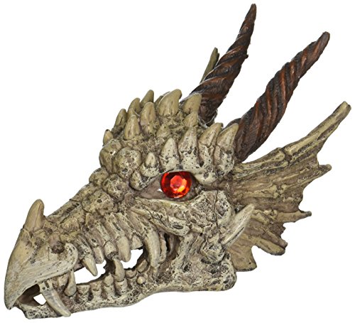 Penn-Plax Deco-Replicas Dragon Skull Gazer Aquarium-Dekoration, sicher für Süß- und Meerwasseraquarien, groß (RR1207) von Penn-Plax