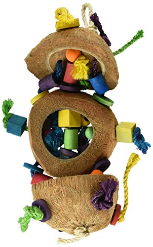 Penn-Plax ba1870 Coconut Kabob mit Holz & Sisal Pet Halsband von Penn-Plax