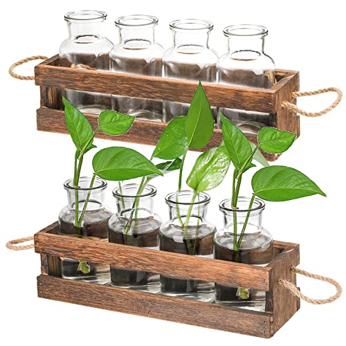 Peohud 2 Stück Pflanzen-Terrarium mit Holzständer, Schreibtisch-Pflanzen-Anzuchtstation, Glas-Hydrokultur-Vase für Pflanzen, lebende Zimmerpflanzen, Geschenke für Pflanzenliebhaber von Peohud