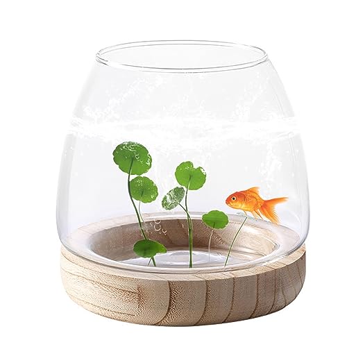 Kleine Glasvase, kleine Fischtankglasvase Fischschüssel Vasen hydroponische transparente Pflanzenvasen für Home Office Decor von Peosaard