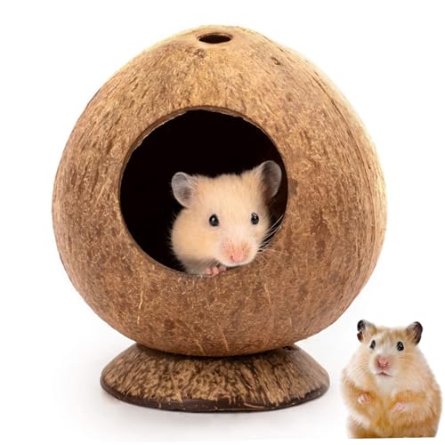 Peosaard Hamster-Versteck, Hamsterhaus 5.3x4,7 Zoll Kokosnussförmiger Hamsterhaut mit stabilem Basi von Peosaard