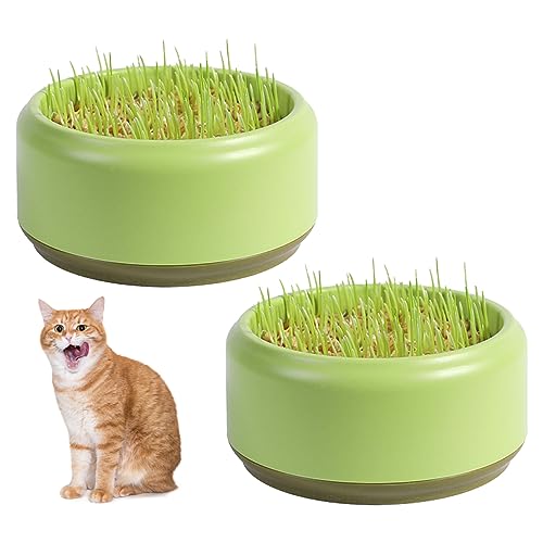 Peosaard Katze Gras Pflanzer, Katzengrasanbau -Kit, 2PCS Praktische runde Katzengrasbecher, Haushaltskatze Gras -Kindergarten -Samenrouter Tablett von Peosaard