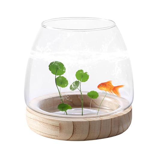 Peosaard Kleine Fischtankglas Vase Fischschüssel Vasen Hydroponische transparente Pflanzenvasen für Home Office Decor Fischschale von Peosaard