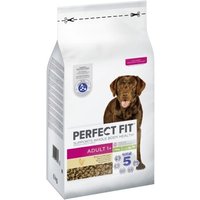 PERFECT FIT Adult 1+ Huhn M/L 6kg von PERFECT FIT