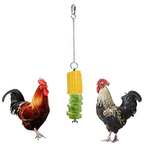 Perfect Flower Huhn Gemüse Spieß Obsthalter Huhn Gemüsehalter Chicken Parrot Bird Hanging Feeder Chicken Parrot Bird Hanging Feeder Hühner Hängendes Spielzeug Zubehör von Perfect Flower