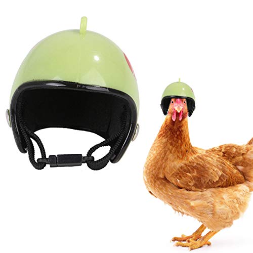 Perfect Flower Huhn Helm Entzückender Helm,Hühnerhelm Haustier Sicherheit Sonnenregenschutz Lustige Papagei Kleine Haustier Kostüme Für Küken Haustier Papagei Vögel von Perfect Flower