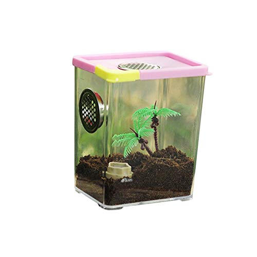 Perfect Flower Reptil Fütterungsbox,Mini Terrarium Transportbox,Reptil Fütterungsbox Aus Acryl,Tragbarer Reptilienzuchtbox,Transparente Acryl Reptilienzuchtbox Für Eidechse, Spide, Hornfrosch, Käfer von Perfect Flower