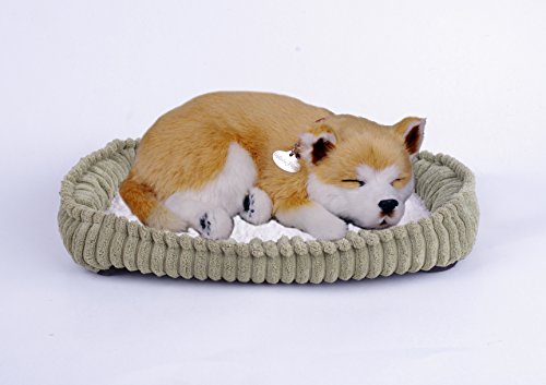 Perfect Petzzz Hundewelpe Shiba, der richtig atmet The Breathing Puppy von Perfect Petzzz