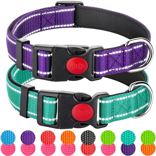 Reflektierendes Hundehalsband für mittelgroße und kleine Rassen, männlich und weiblich, gepolstert, weich, langlebig, Nylon, Neopren, Halsband für Welpen, Hunde, Mädchen, Jungen, mit von Perperqer