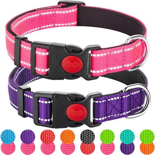 Reflektierendes Hundehalsband für kleine Hunde, Mädchen, Jungen, Nylon, langlebig, weich gepolstert, Neopren, für männliche und weibliche Hunde, mit Schnellverschluss-Sicherheitsschnalle, Rosa, Lila, von Perperqer