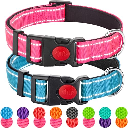 Reflektierendes Hundehalsband für kleine Hunde, Mädchen, Jungen, Nylon, langlebig, weich gepolstert, Neopren, für männliche und weibliche Hunde, mit Schnellverschluss-Sicherheitsschnalle, Rosa, Blau, von Perperqer