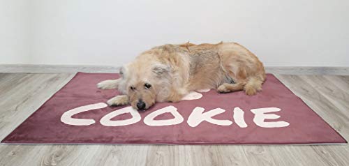 PersonaliseDog Hundebett-Matte, personalisierbar, mit Hintergrundfarbe, Knochen & Pfotenmuster, Text & Schriftart von PersonaliseDog