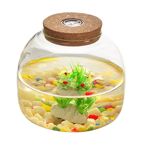 Blumentöpfe, Glas Terrarium für Pflanzen, 1600 ml Pflanzen -Terrarium mit Korkdeck von Pesoncarl