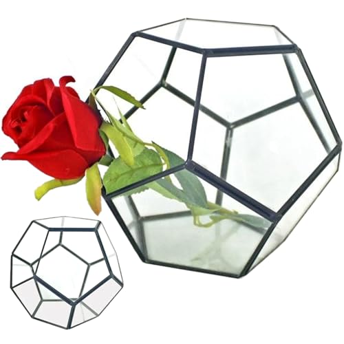 Glaspflanzenterrarium, 7,1x7.1x5,5 '' Schweißpentagon Glass Terrarium mit Tür, geometrisches geschlossenes Terrarium für Farn Succulents Pflanzen schwarz von Pesoncarl