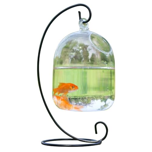 Hängende Fischschale mit Ständer, transparente Mini-Fischtankschale, Platz sparende undurchlässige Bauglas-Vase-Aquarium für Zuhause, Bürozubehör, Bürozubehör von Pesoncarl