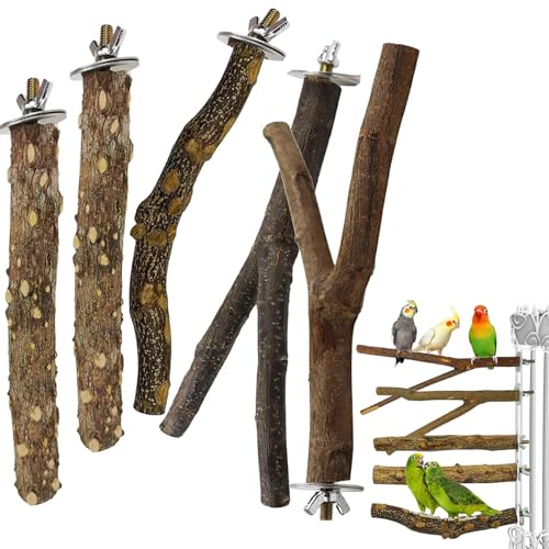 Pesoncarl 5pcs/festgelegte Vogelstangen für Käfig, natürlicher Holzstandbarsch, einfache Papagei Barsch für kleine Conures, Cockatiel, Papageien, Lovebird, Papageien und Finken von Pesoncarl