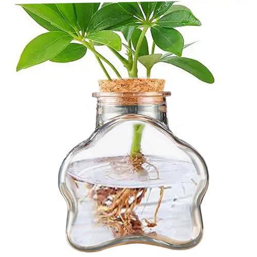 Terrariumpflanzen, Moos Terrarium Kit, 230 ml klare blumförmige saftige Töpfe, lustiges DIY PE Desktop Terrarium, einfache Pflegeblumentöpfe für Home Office Desk Pflanzenblume Blume von Pesoncarl