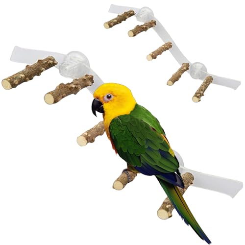 Vogeldusche Barsch, Holzfenster Barschspielzeug mit Saugnapfbecher, Klettern Ramp Leiter Vogelstand Käfigzubehör Parrot Playstand für Cockatiel Lovebird Blockier von Pesoncarl