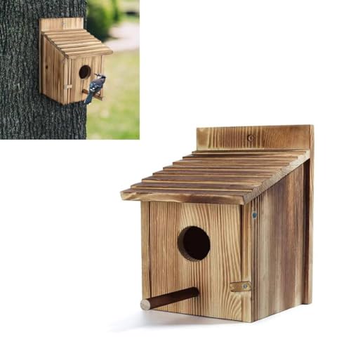 Vogelhäuser aus Holz für draußen, handgefertigtes natürliches Vogelhaus, zum Aufhängen, Vogelhaus, Nistkasten, Vogelhaus, für Finken, Blauvögel, Kolibri, Sittich von Pessrrtewg