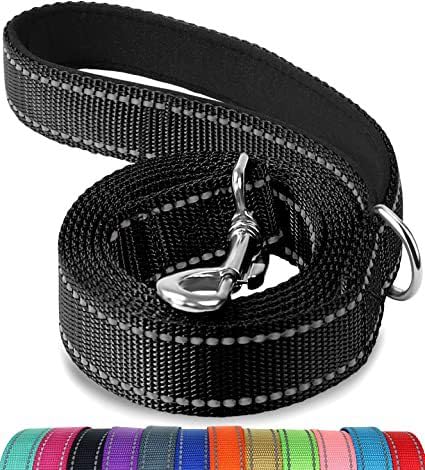 Hundeleine für Haustierkamera-Halsband, 1,8 m / 2,5 cm von Pet Baby