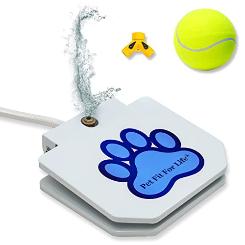 Pet Fit For Life Hundepedal Wasserbrunnen - Step-On Hundesprinkler/Wasserschlauch Hundespielzeug zum Trinken und Wasserspielen, inkl. Riesen Tennisball von Pet Fit For Life