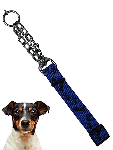 Hundehalsband mit Schnalle, verstellbar, für Hunde, Martingale, verstellbare Trainingshalsbänder für Hunde (blau) von Pet Guru