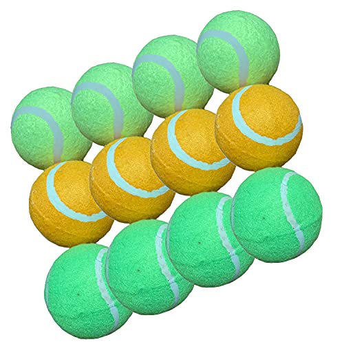 Hundespielbälle Doggy Puppy 10 Stück Tennisspielbälle Trainingsbälle für alle Hunde (12 Stück) von Pet Guru