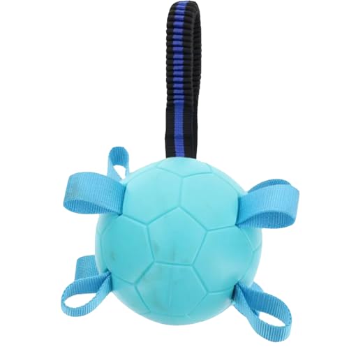 Pet Guru® Doggy Play Bälle, quietschender Hundefußball, Nylon, interaktives Spieltraining, Trainingsbälle für alle mittleren bis großen Rassen, Blau, 10 cm von Pet Guru