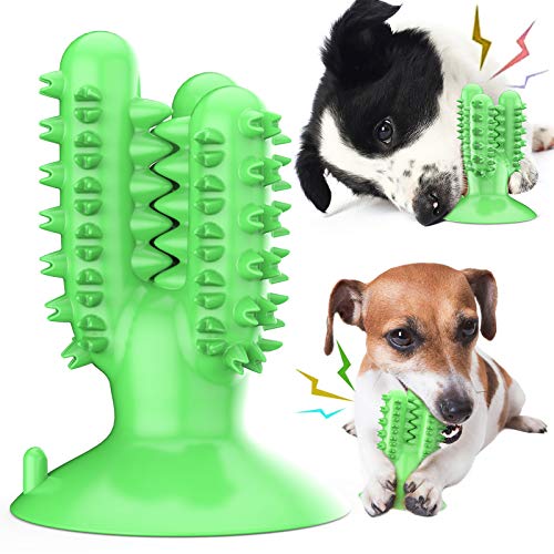 Pet Instant Hundezahnbürste Schwimmendes Spielzeug Kauspielzeug Kaktusförmiges Welpenspielzeug für Hunde Zahnreinigung mit Upgrade Gummi Saugnapf Schwimmen Hundespielzeug Zahnbürste Grün von Pet Instant