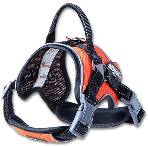 DOG HELIOS ® Sportliches Hochleistungs-Hundegeschirr 'Scorpion' von Pet Life