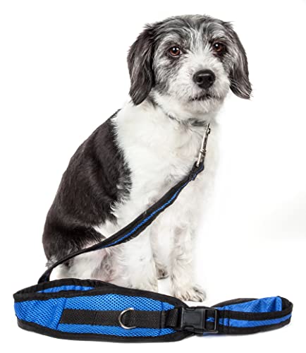 Pet Life 'Echelon' Hands Free and Convertible 2-In-1 Training Pet Dog Leash and Pet Belt Trainer, One Size, Blue von Pet Life