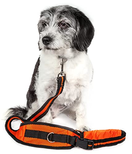 Pet Life 'Echelon' Hands Free and Convertible 2-In-1 Training Pet Dog Leash and Pet Belt Trainer, One Size, Orange von Pet Life