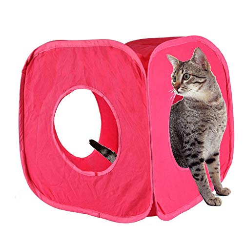 Pet Living Pop-Up-Katzen-Spielwürfel, lustig, starke Box für Katze, Kaninchen, Spielzeug (Rosa) von Pet Living